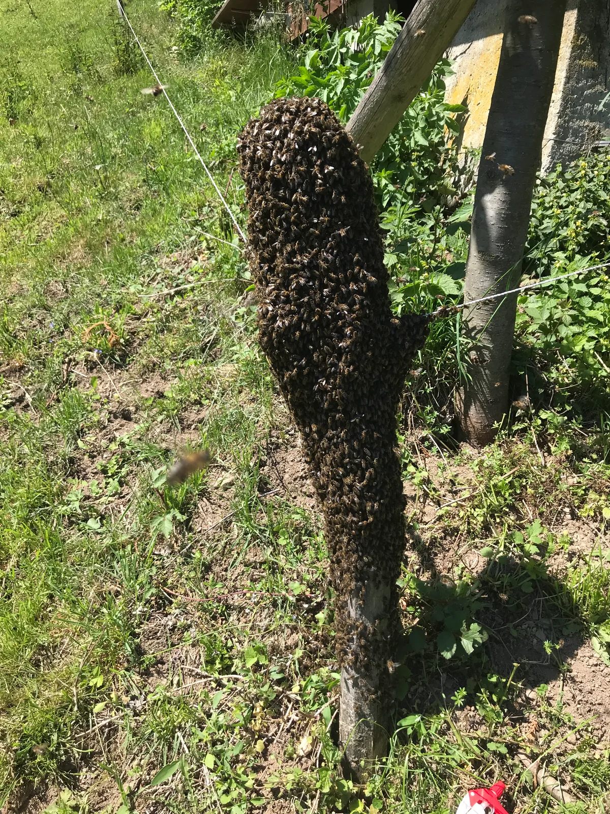 Bienenhaus Pfnanenstil